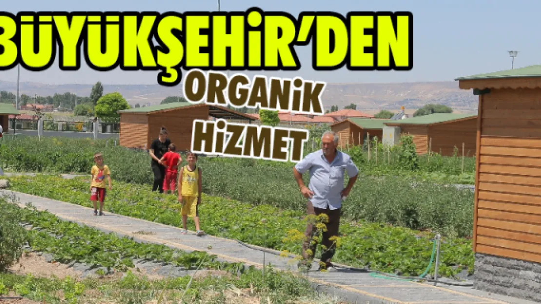 Büyükşehir'den organik hizmet