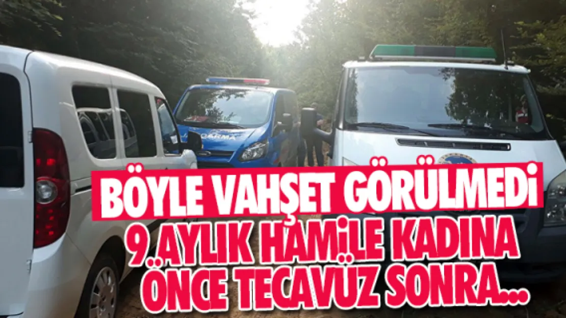 Sakarya'da vahşet: Hamile kadına tecavüz edip 10 aylık bebeğini öldürdüler