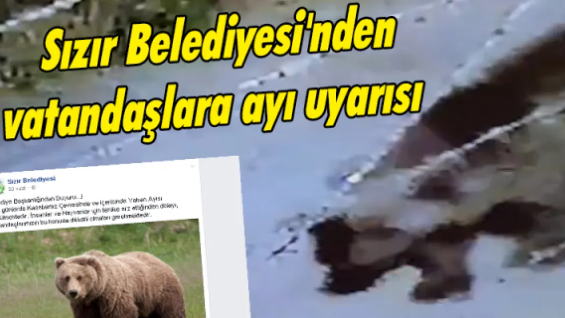 Sızır Belediyesi'nden vatandaşlara ayı uyarısı