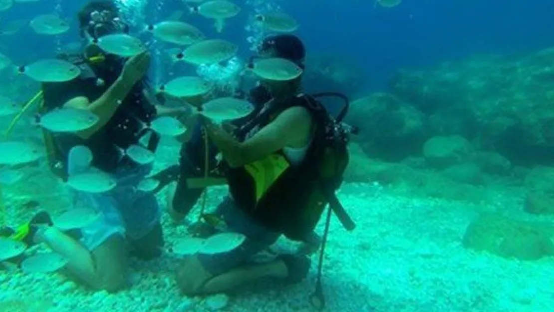 Türkuaz Doğa Sporları'nın dalış programı belli oldu