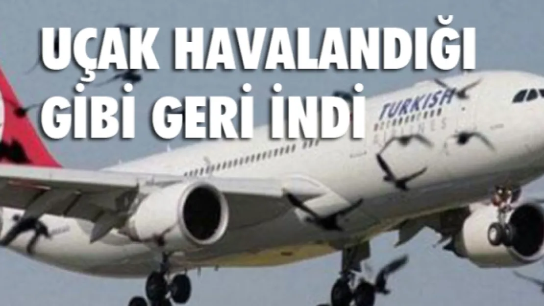 Uçak havalandığı gibi geri indi