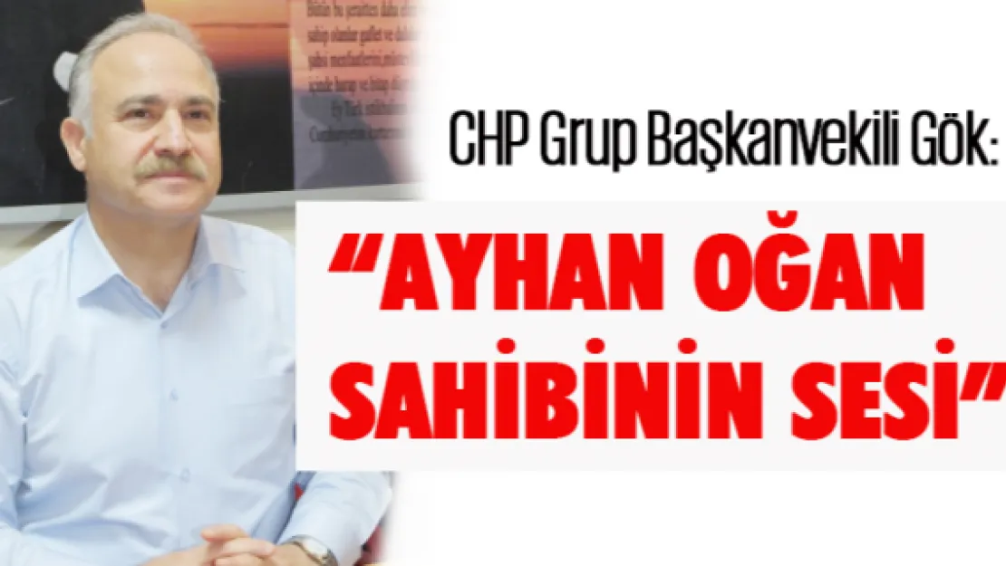 'Ayhan Oğan sahibinin sesi'