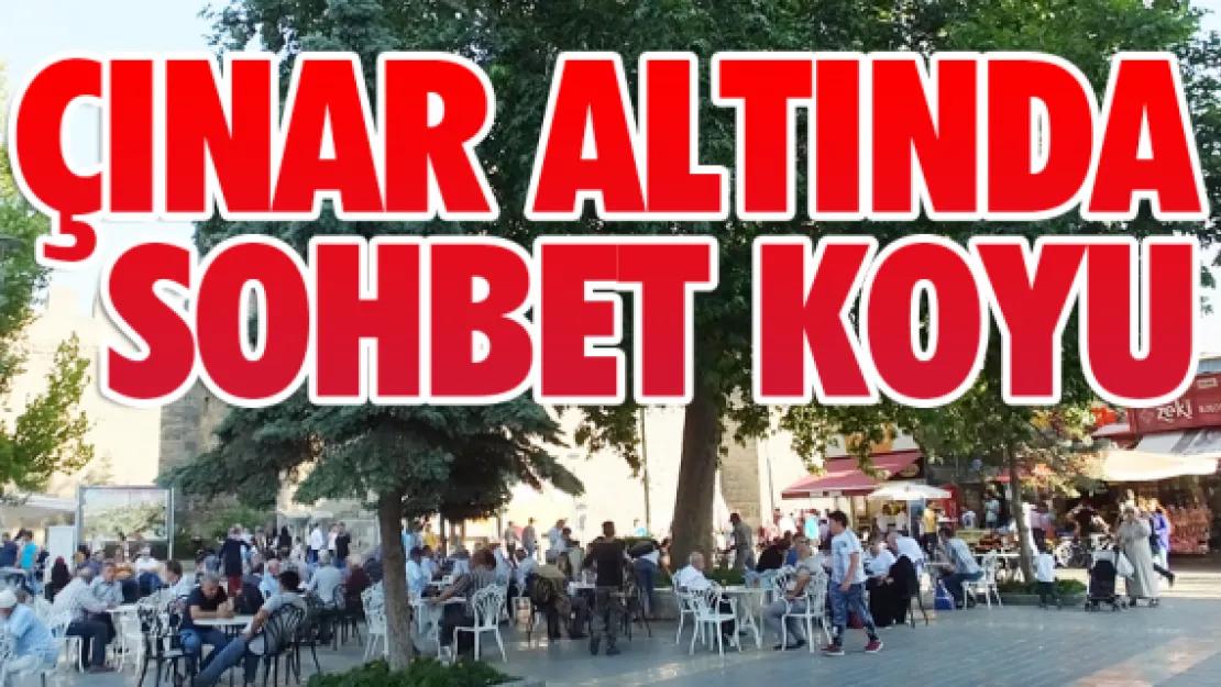 Çınar altında sohbet koyu