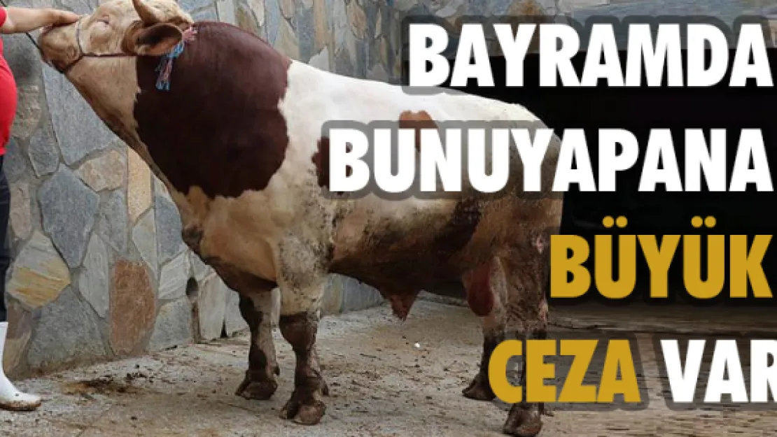 Dikkat! Kurban Bayramı'nda bunları yapana büyük ceza var