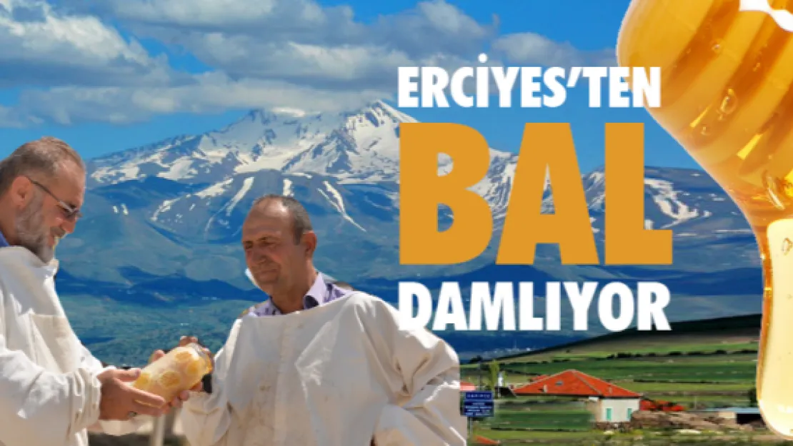 Erciyes'ten bal damlıyor