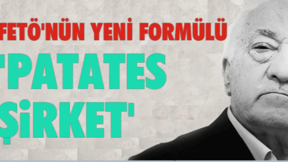 FETÖ'nün yeni formülü: 'Patates şirket'