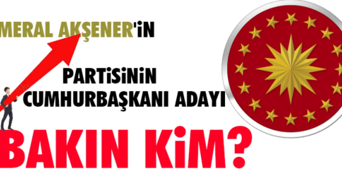 İşte Meral Akşener'in partisinin 2019 cumhurbaşkanı adayı