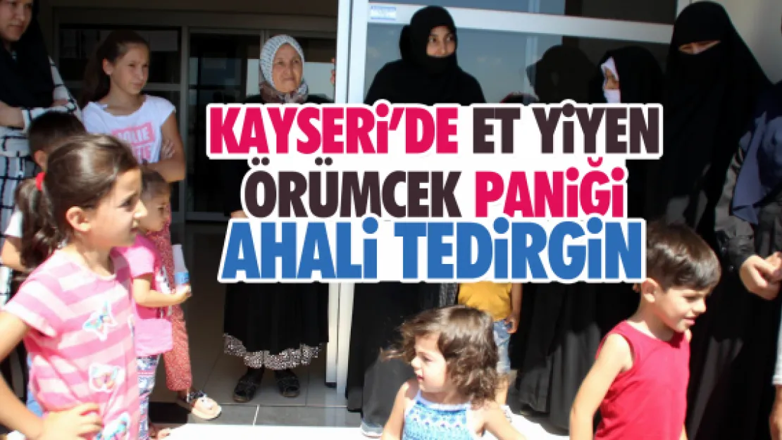 Kayseri'de ahaliyi tedirgin eden böcek