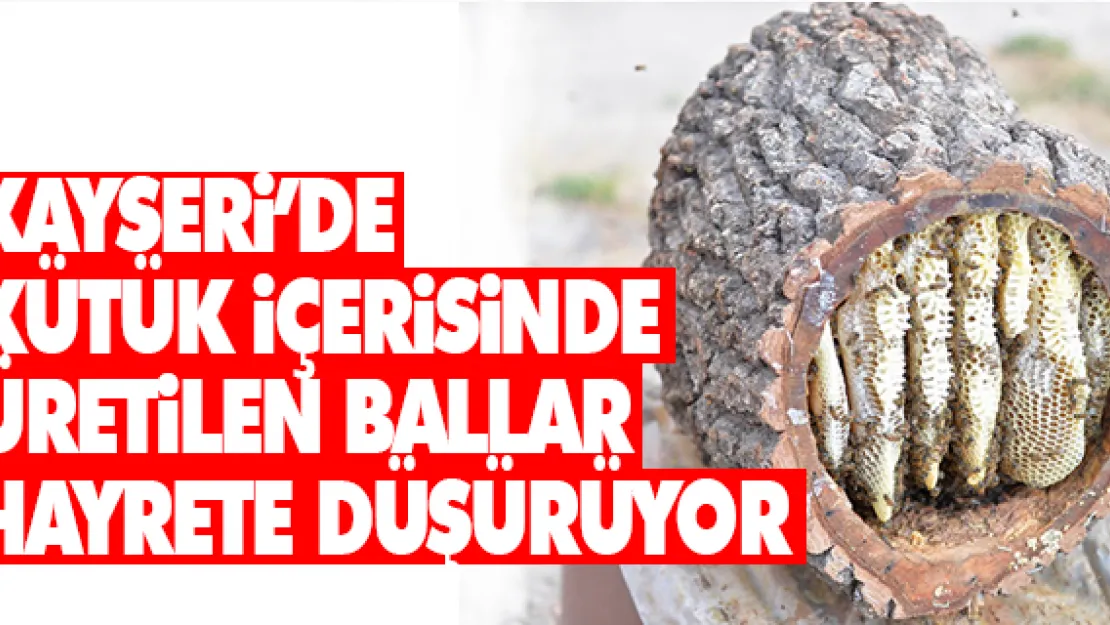 KAYSERi'DE KÜTÜK iÇERiSiNDE ÜRETiLEN BALLAR HAYRETE DÜŞÜRÜYOR