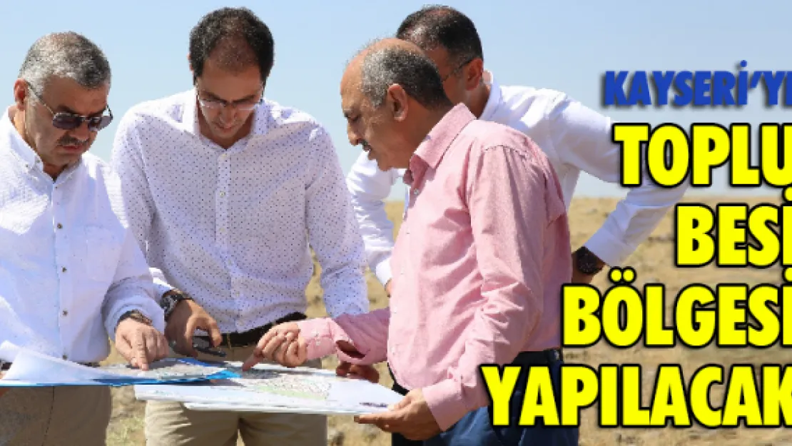 Kayseri'ye Toplu Besi Bölgesi yapılacak