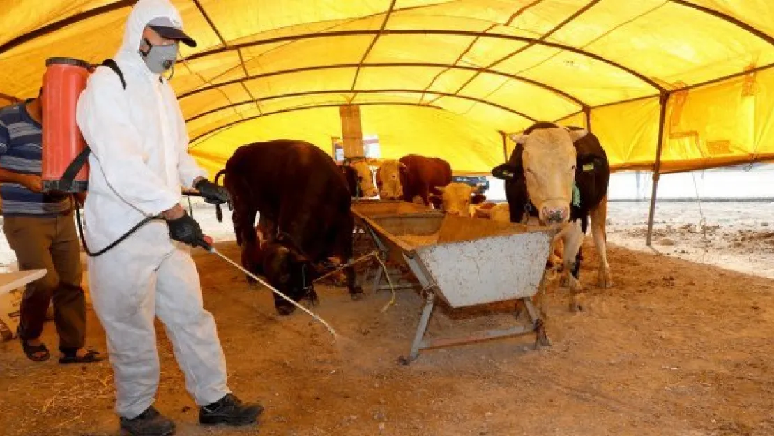 Talas'ta kurban pazar yerleri ilaçlandı