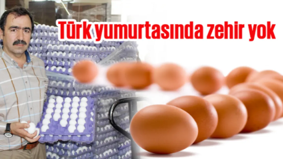 Türk yumurtasında zehir yok