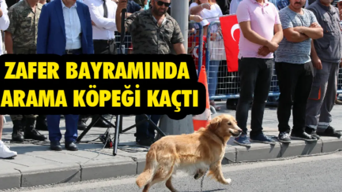 Zafer Bayramında arama köpeği kaçtı