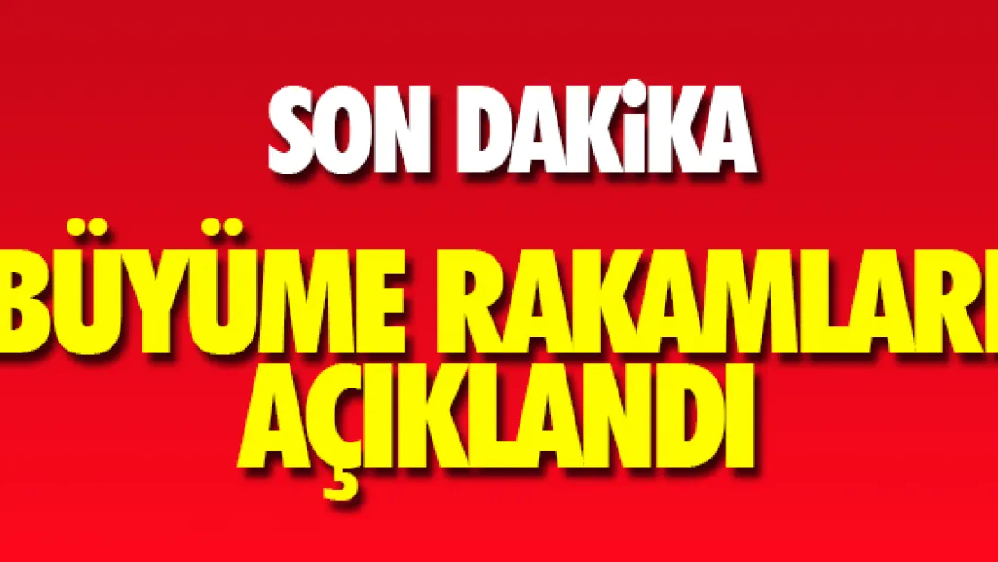 BÜYÜME RAKAMLARI AÇIKLANDI