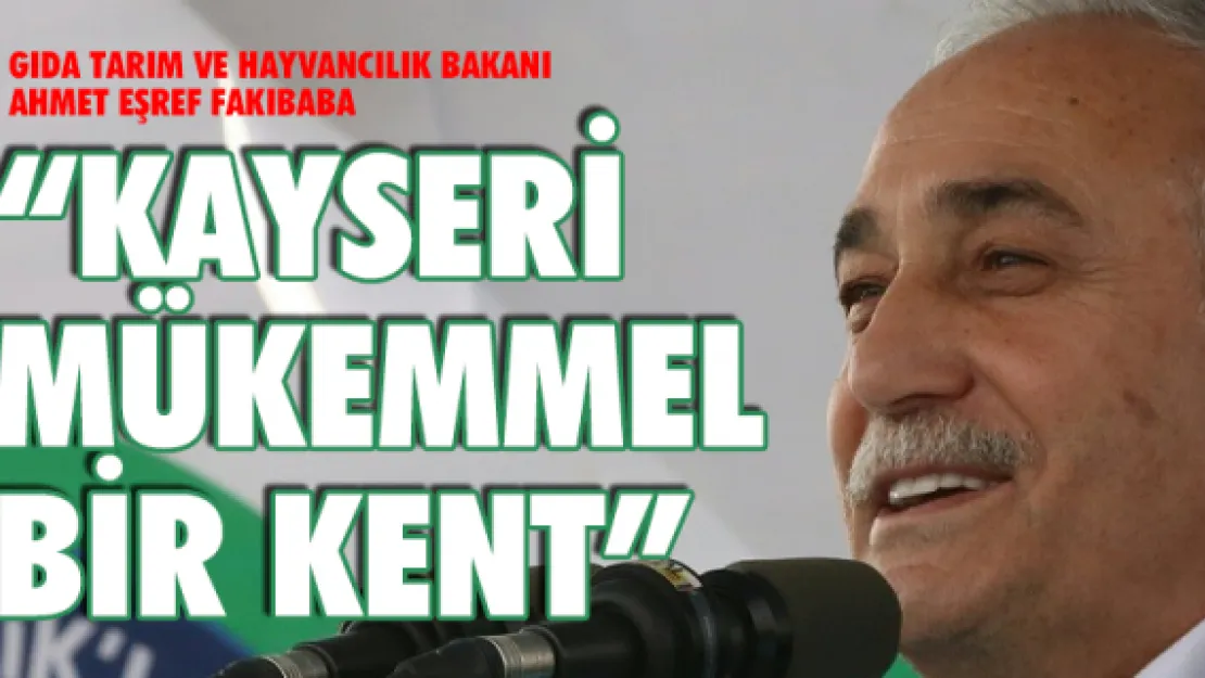 'Kayseri mükemmel bir kent'