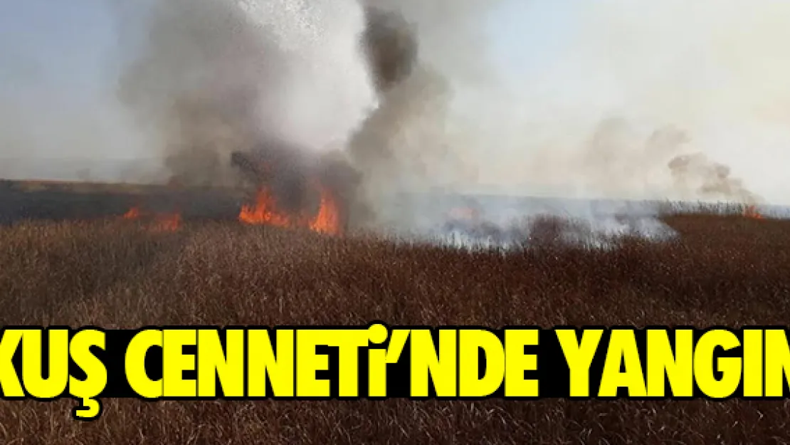 KUŞ CENNETi'NDE YANGIN