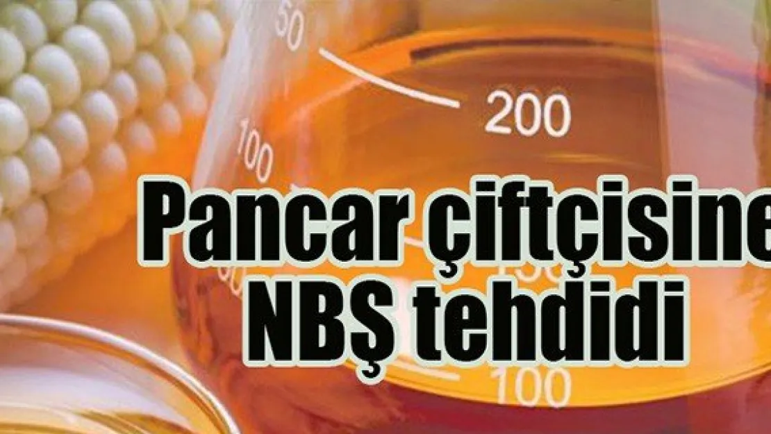 Pancar çiftçisine NBŞ tehdidi