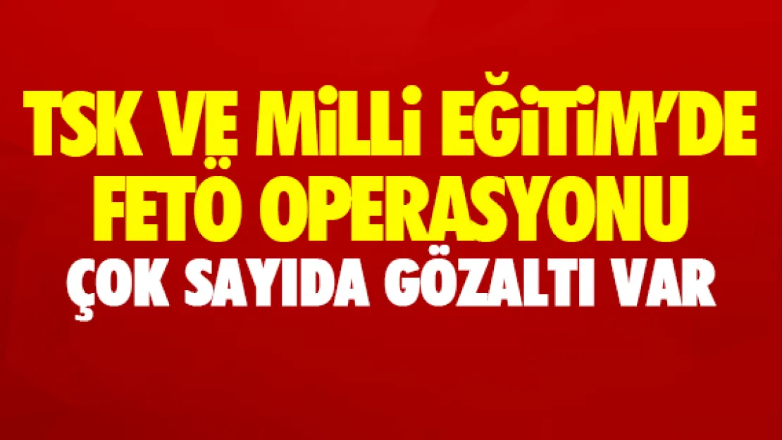 TSK VE MEB'DE FETÖ OPERASYONU