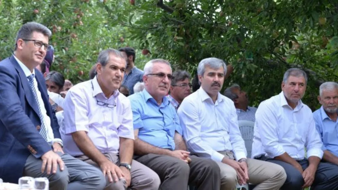 Zirai mücadelede faydalı böcekler kullanılacak