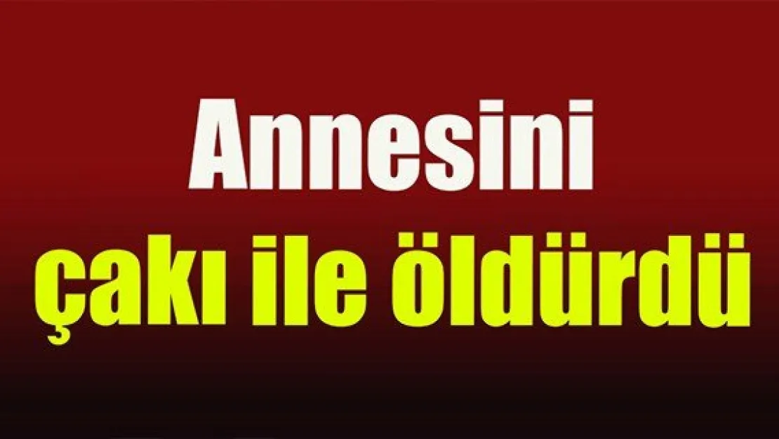 Annesini çakı ile öldürdü