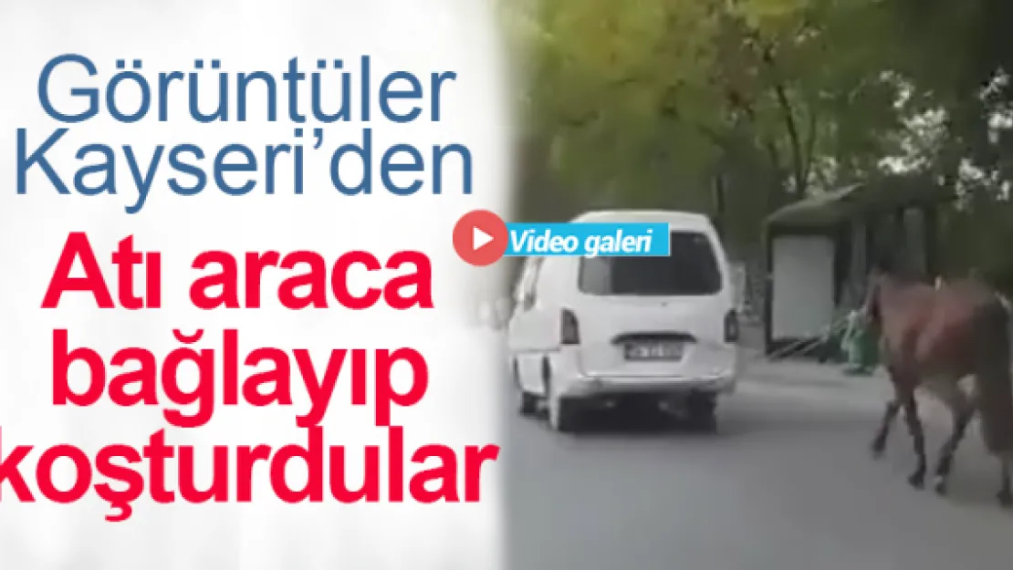 Atı araca bağlayıp koşturdular