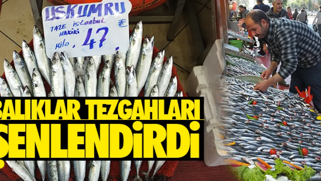 Balık tezgahları şenlendi