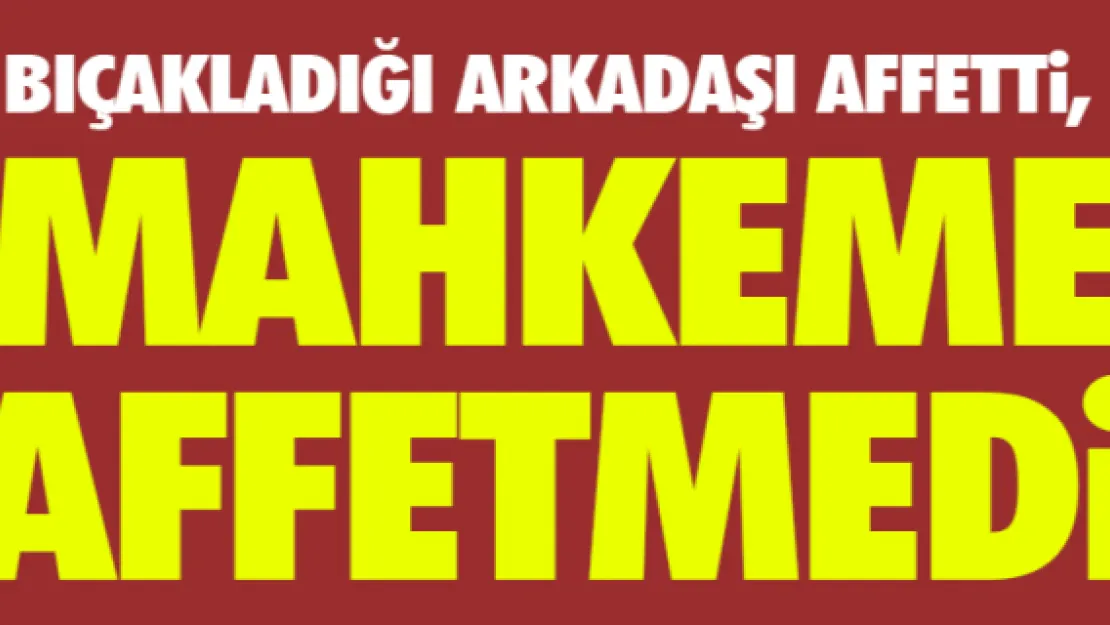 Bıçakladığı arkadaşı affetti, mahkeme affetmedi