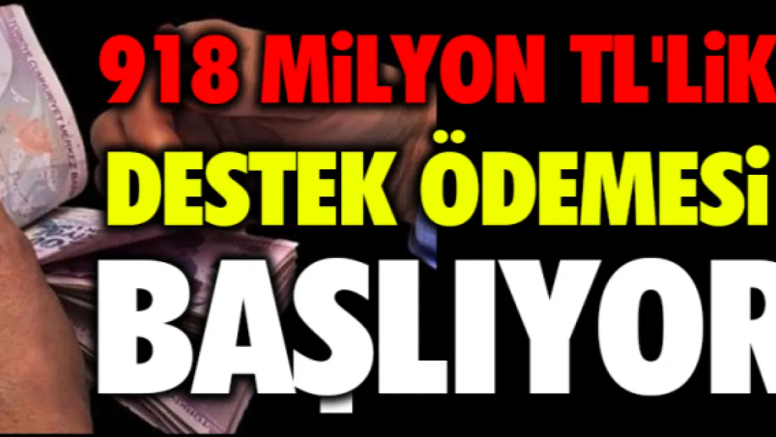 Çiftçilere 918 milyon TL'lik destek ödemesi başlıyor