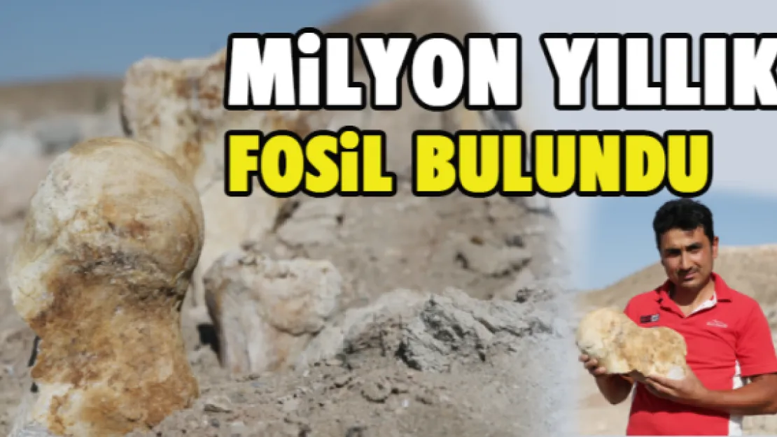 Çoban &quotmilyon yıllık fosil" buldu