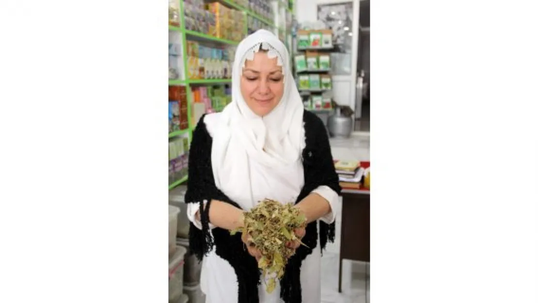 Ihlamur fiyatları altınla yarışıyor
