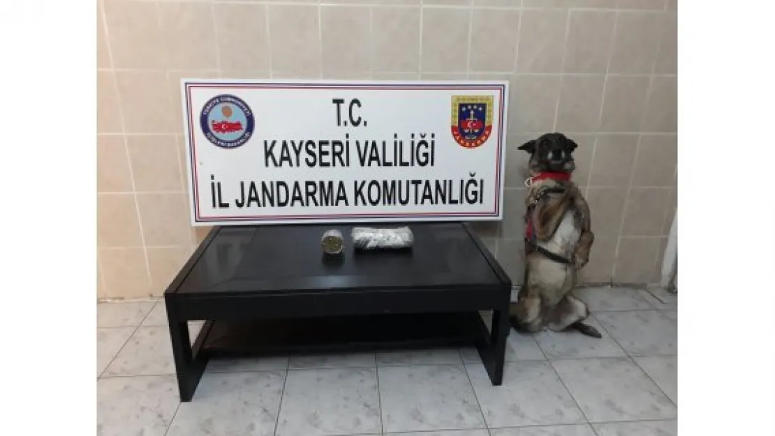 Jandarmadan uyuşturucu operasyonu