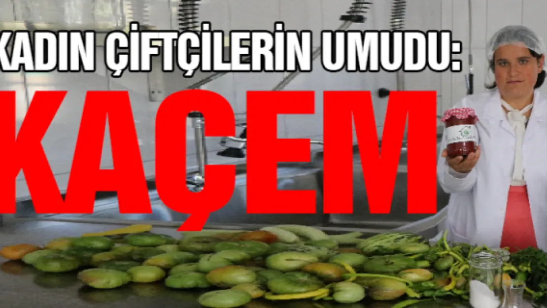 Kadın çiftçilerin umudu: KAÇEM 