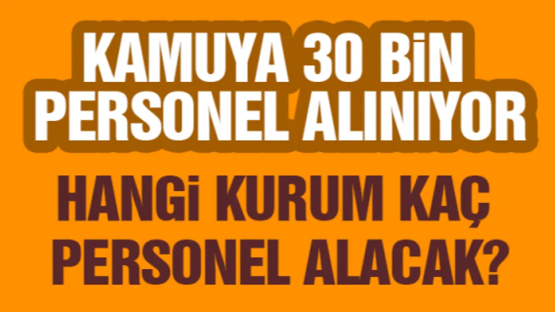 Kamuya 30 bin personel alınıyor