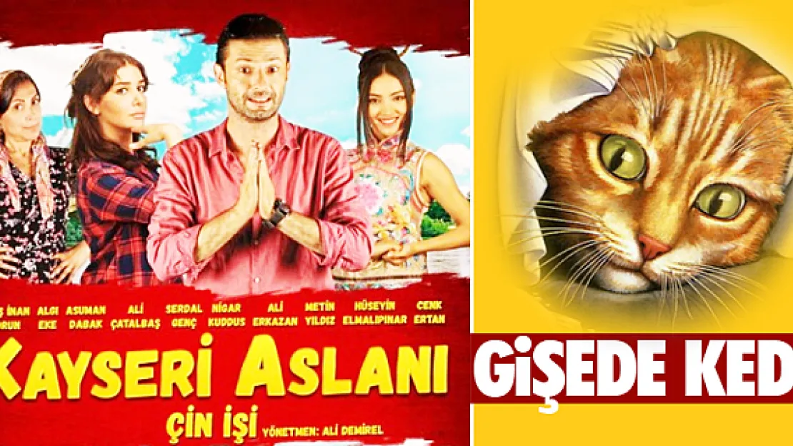 'Kayseri Aslanı' gişede kedi