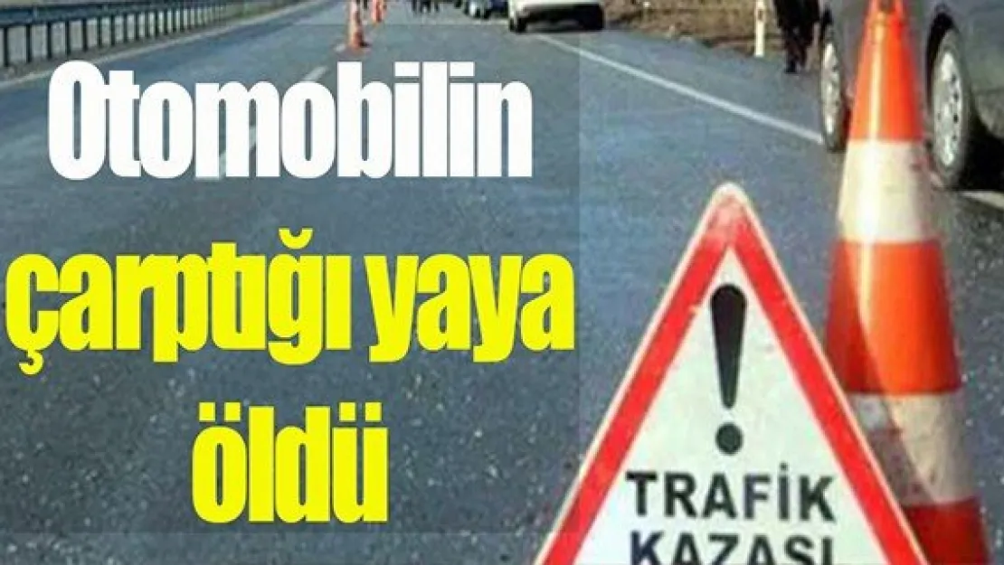 Otomobilin çarptığı yaya öldü