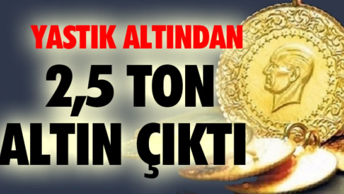 Yastık altından 2,5 ton altın çıktı 