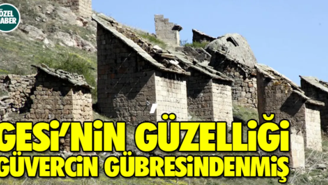 Gesi'nin güzelliği güvercin gübresindenmiş