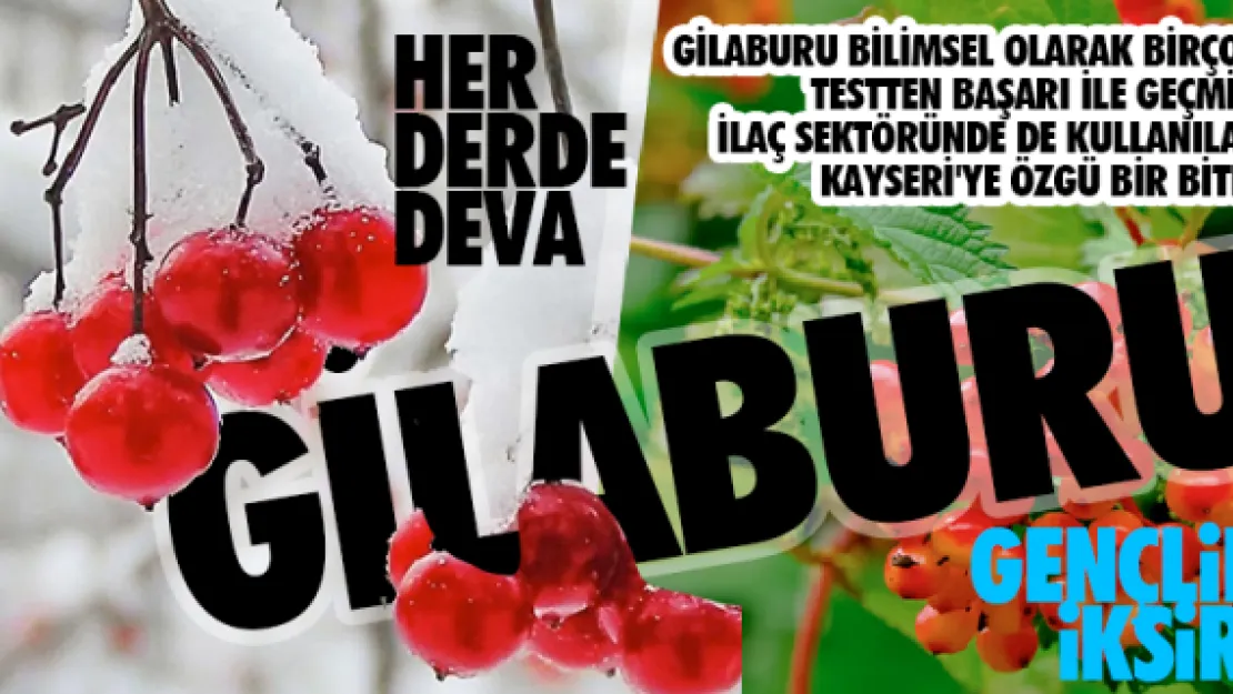 Her derde deva: GİLABURU