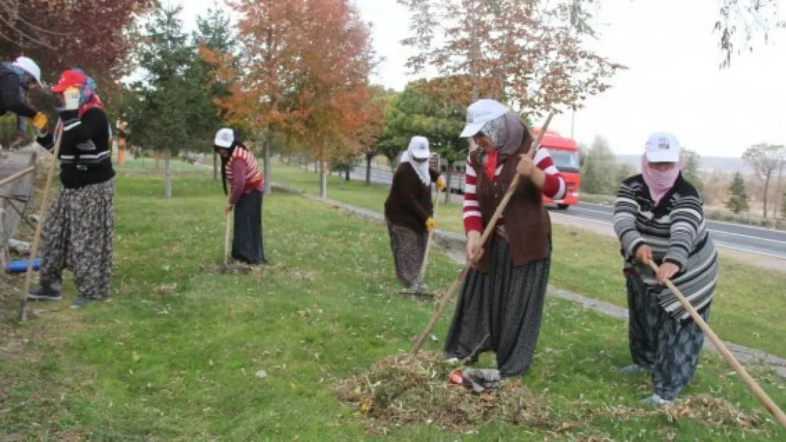 İncesu'da sonbahar temizliği