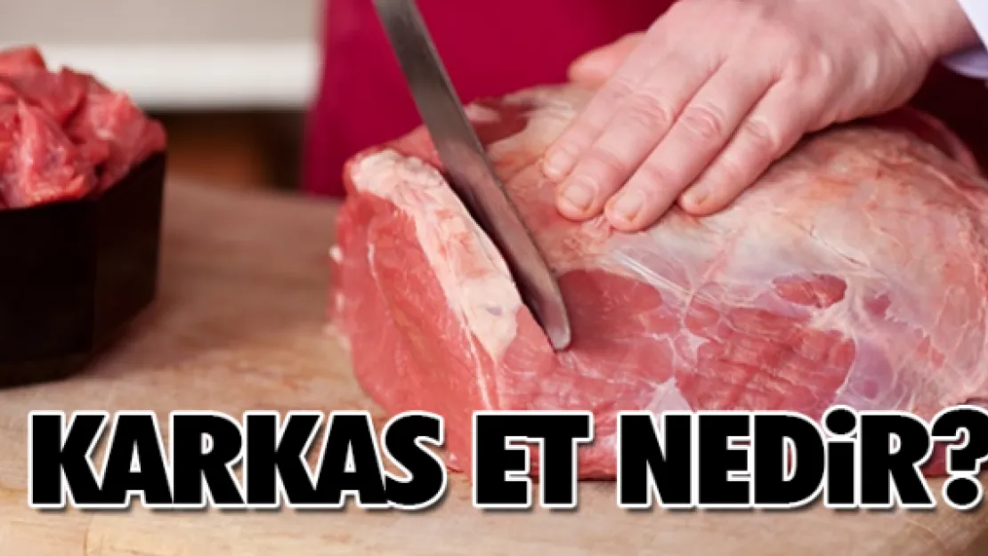 Karkas et nedir?