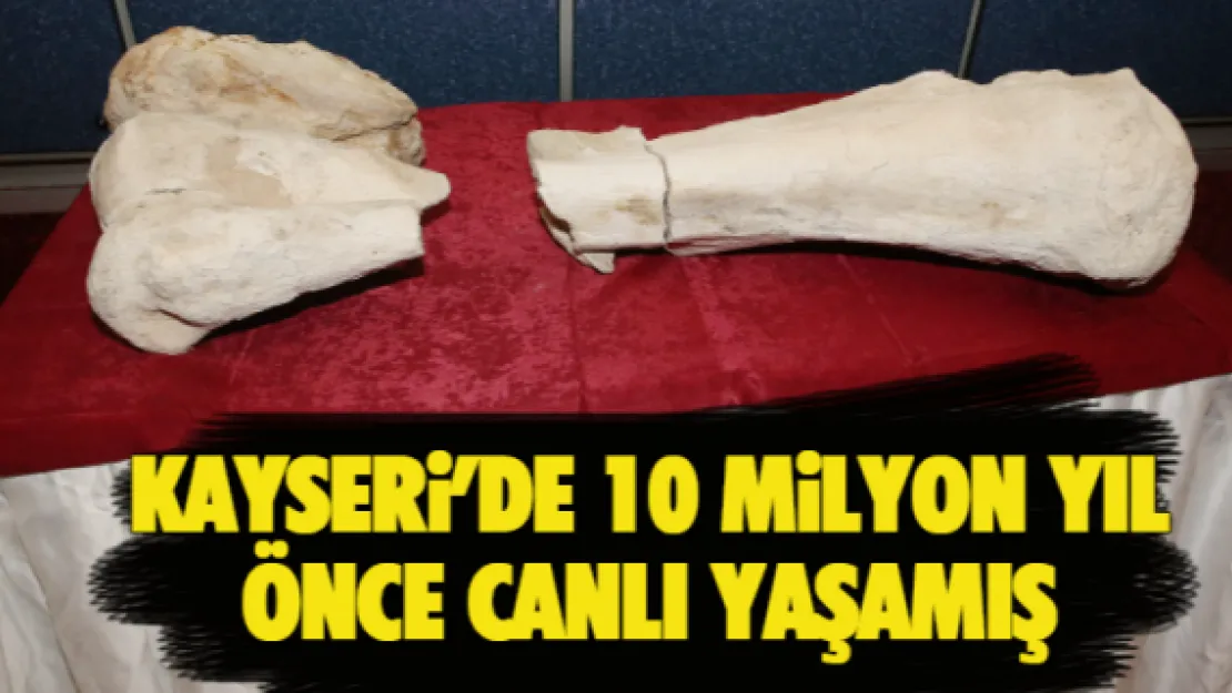 KAYSERİ'DE 10 MİLYON YIL ÖNCE CANLI YAŞAMIŞ