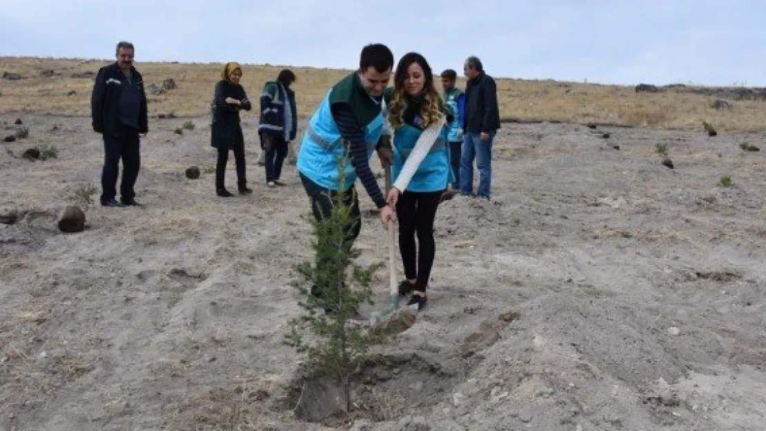 Kocasinan'dan 'Gönül Bahçesi Hatıra Ormanı'