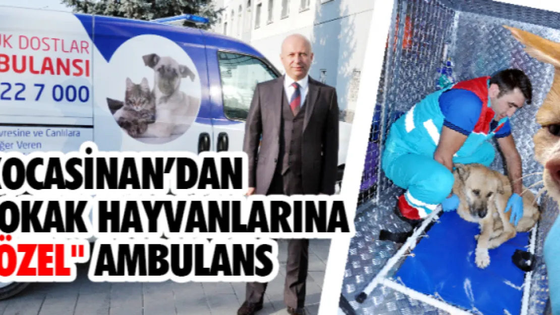 Kocasinan'dan sokak hayvanlarına "özel" ambulans