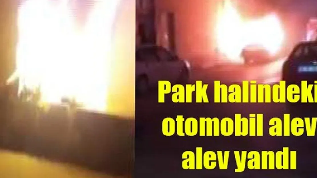 Park halindeki otomobil alev alev yandı