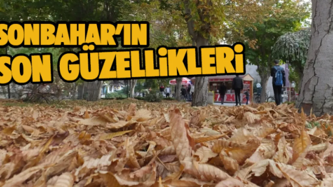 Sonbahar'ın son güzellikleri