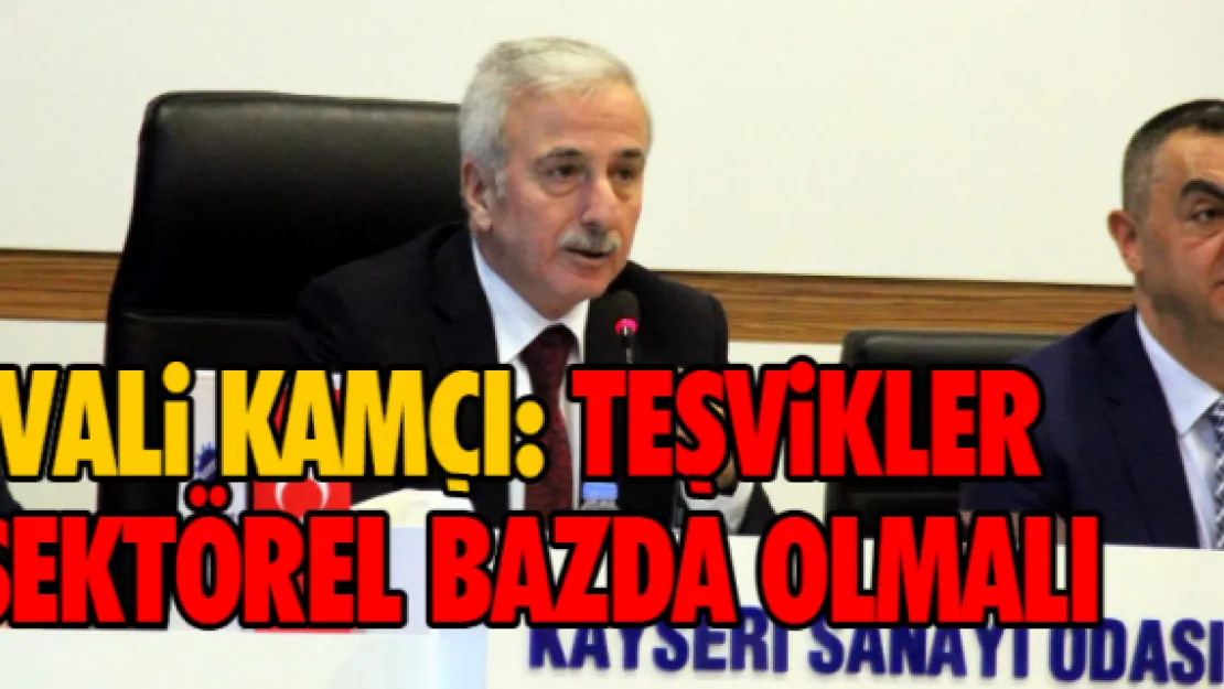 Vali Kamçı:  Teşvikler sektörel bazda olmalı