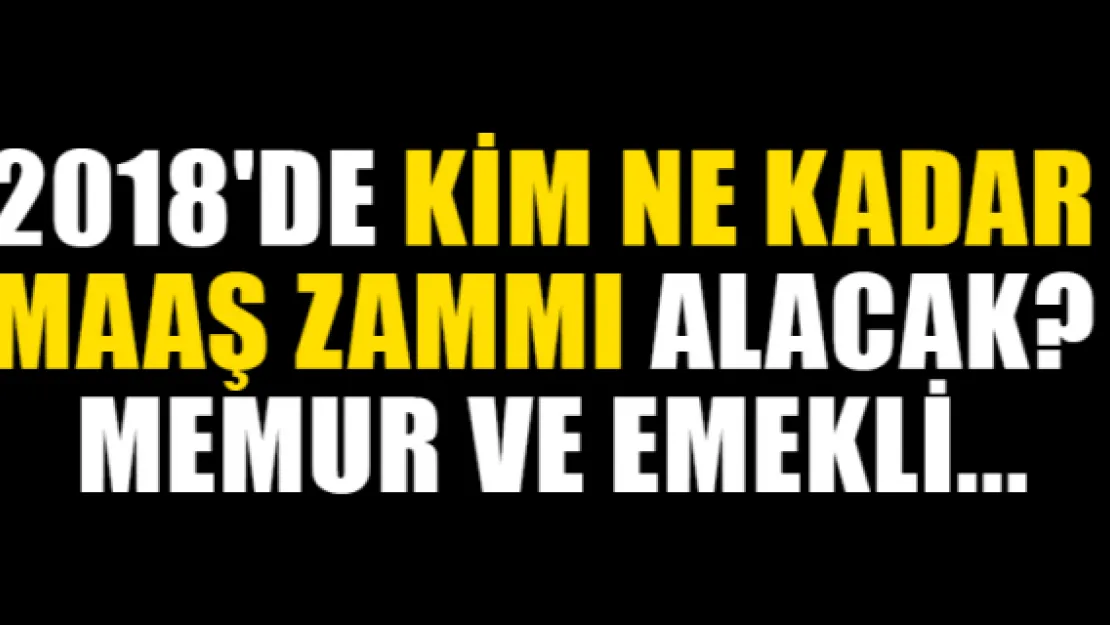 2018'de kim ne kadar maaş zammı alacak? Memur ve emekli...