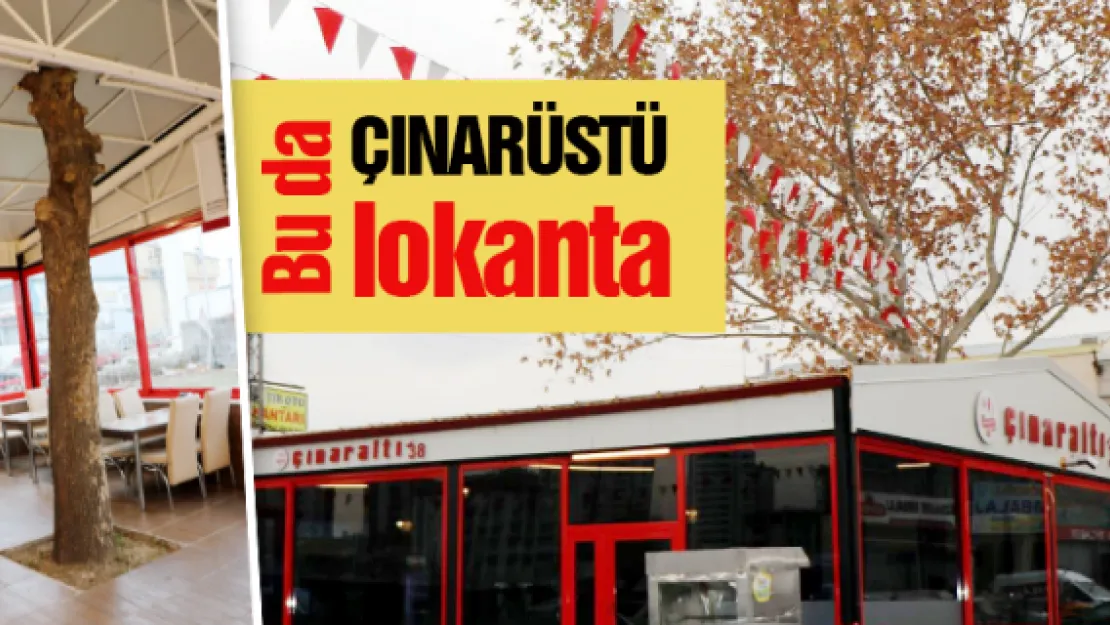 Bu da 'çınarüstü' lokanta