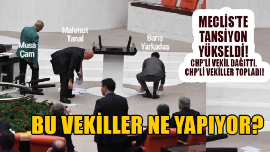 Bu vekiller ne yapıyor?