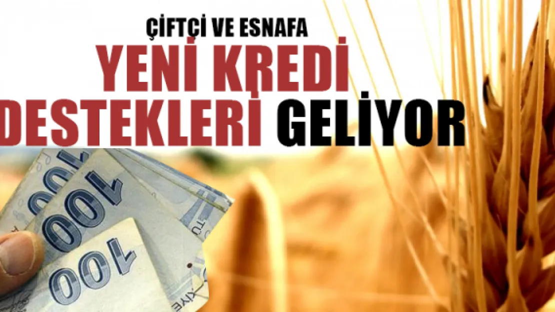 Çiftçi ve esnafa yeni kredi destekleri geliyor